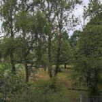 Фото с Microsoft Lumia 640 XL