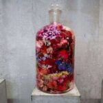 Фото Canon G1 X Mark III