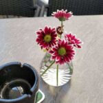 Фотографии Nubia Z17