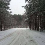 Фото Vernee Active