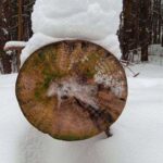 Камера Vernee Active