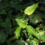 Снимки BlackBerry Key2