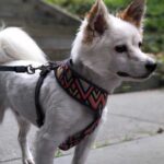 Фотографии BlackBerry Key2