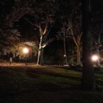 Sony Xperia XZ2 Premium ночная съёмка