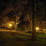 Sony Xperia XZ2 Premium ночна съёмка