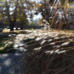 Huawei Nova 3 снимок