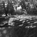 Huawei Nova 3 съёмка