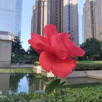 Meizu X8 снимок