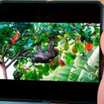 Панель экрана Oppo Find N
