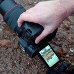 Canon EOS R3 в работе