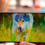 Дисплей Honor Magic 4 Lite 5G