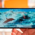 Дисплей Samsung Galaxy A23