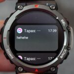 Сообщения в Amazfit T-Rex 2