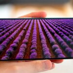 Oppo Reno 7 (4G) качество экрана