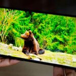 Oppo Reno 8 5G напрактике