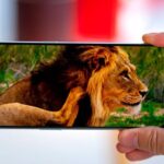 Дисплей OnePlus 10T