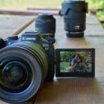 Canon EOS R7 качество съёмки