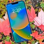 Обзор iPhone 14 Plus