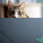 Тестирование игрового ноутбука