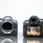 Обзор Canon EOS R6 Mark II
