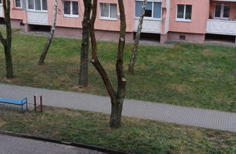 Приближение камеры