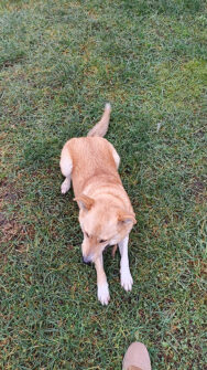 пример фотографий