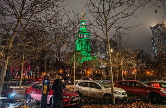 Зум Honor Magic 8 Pro