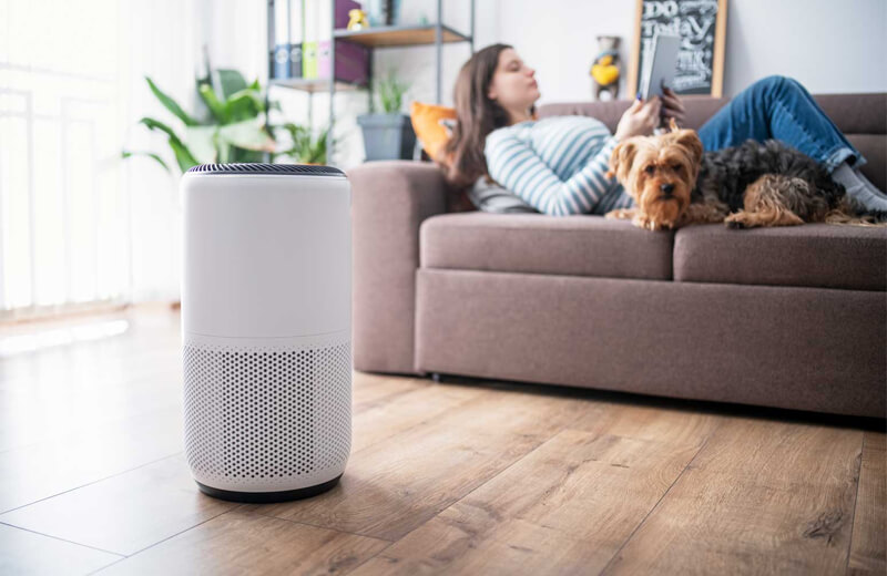 10 лучших воздухоочистителей для дома 2026 года: тест, сравнение и выбор лидера 10 лучших воздухоочистителей для дома 2026 года: тест, сравнение и выбор лидера