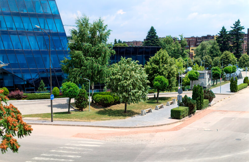 Цифровой зум (2x)