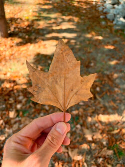 f/1.8